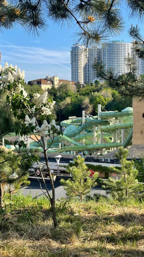 Аркадия Скай أوديسا المظهر الخارجي الصورة
